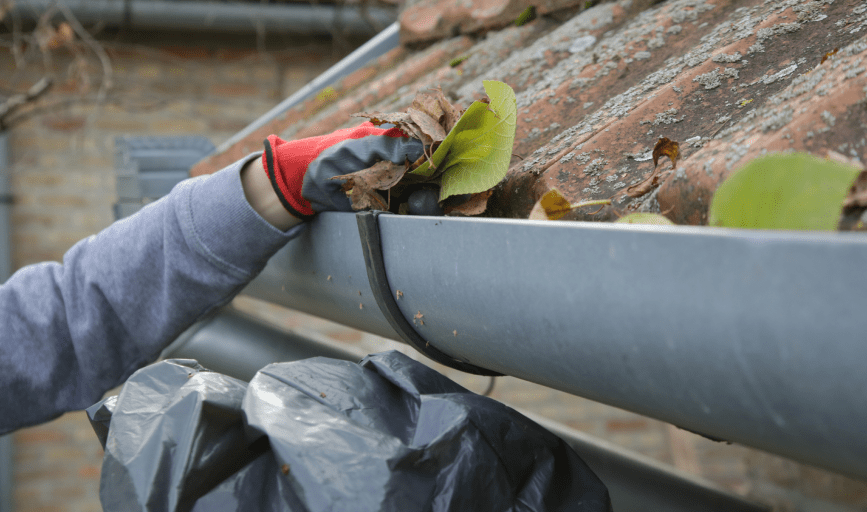 GUTTER CLEANING